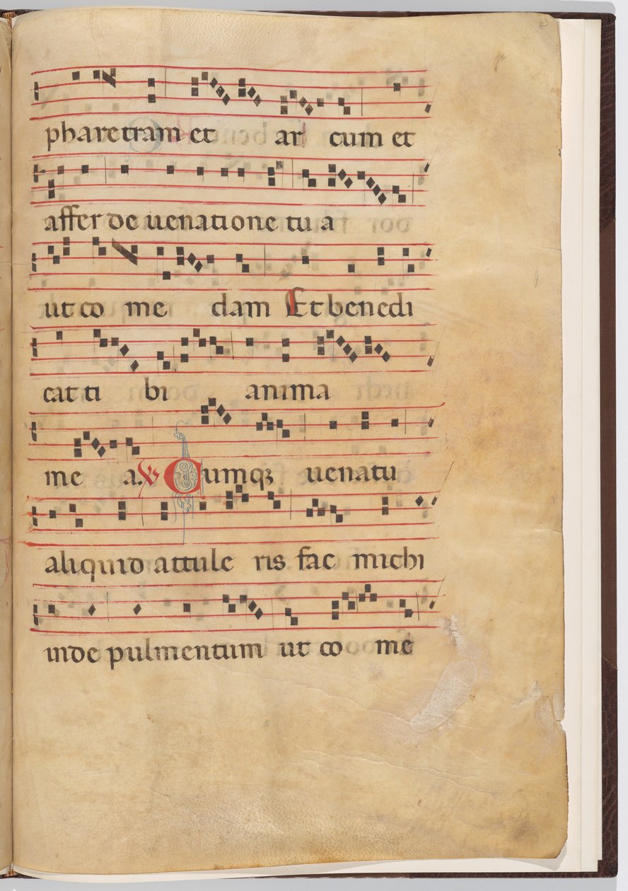 8. levél antifonális töredékből alkotó: Italian 13th Century