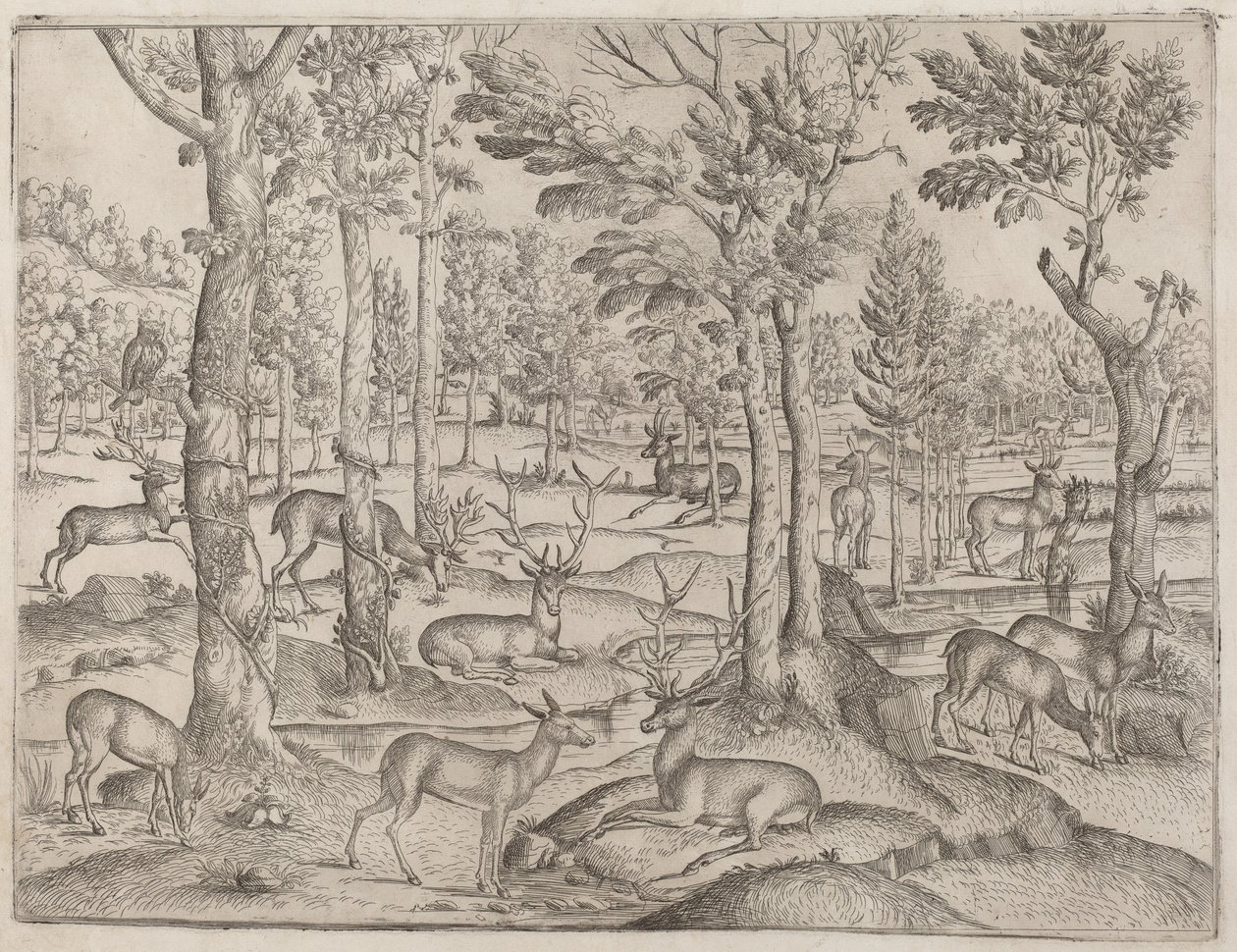 Szarvas az erdőben alkotó: Italian 16th Century