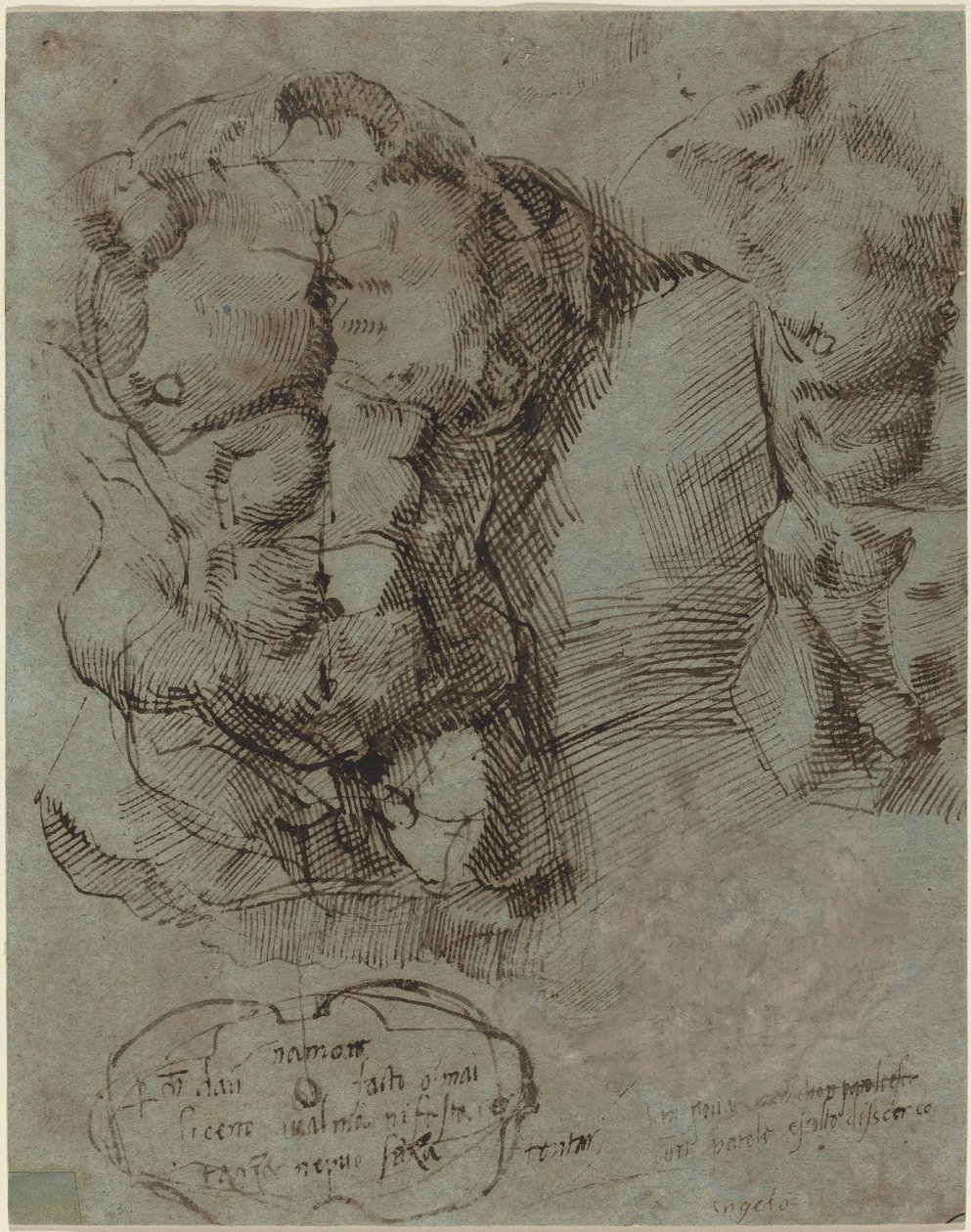 Tanulmányok egy férfi törzsről alkotó: Italian 16th Century