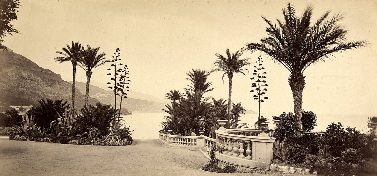 A Monte Carlo Kaszinó kertje, a Monacói Hercegségben alkotó: Italian Photographer