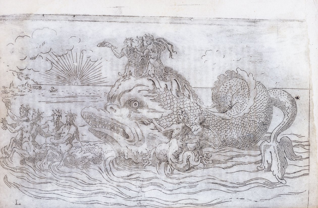 Egy fantasztikus halas szekér, 1579 alkotó: Italian School