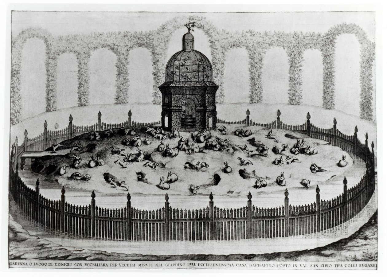 Nyúl madárházzal kismadaraknak, a Le Fabbriche e i Giardini dellEcc-től. Casa Barbariga, D. Rossetti, metszett G. Campana, megjelent 1702 alkotó: Italian School