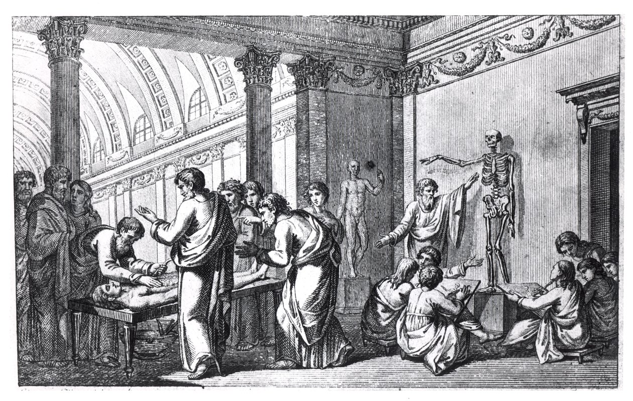 Anatómiai iskola az ókorban, Pietro Berrettini da Cortona (1596-1669) Tabulae Anatomicae című művéből, Rómában, 1778 alkotó: Italian School