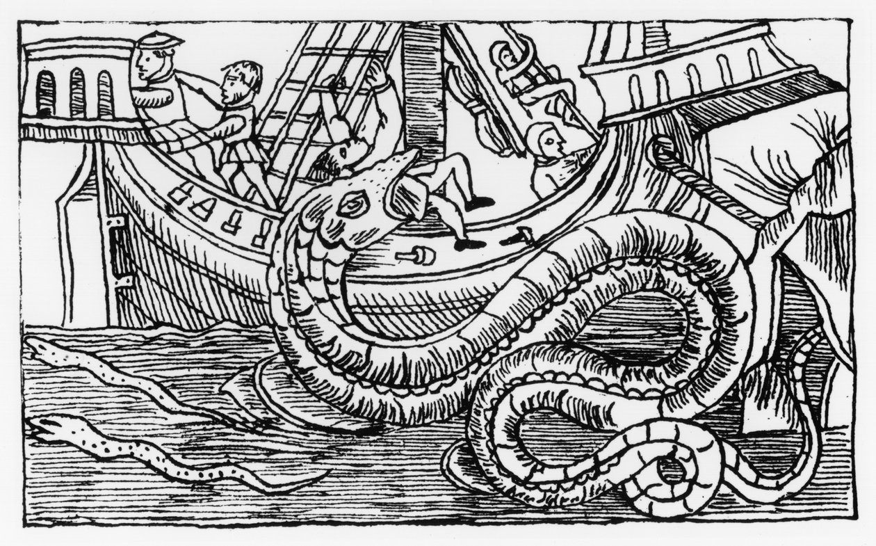 Egy tengeri kígyó, Olaus Magnus (1490-1557) „Az északi nemzetek története” című művéből, Rómában, 1555. alkotó: Italian School