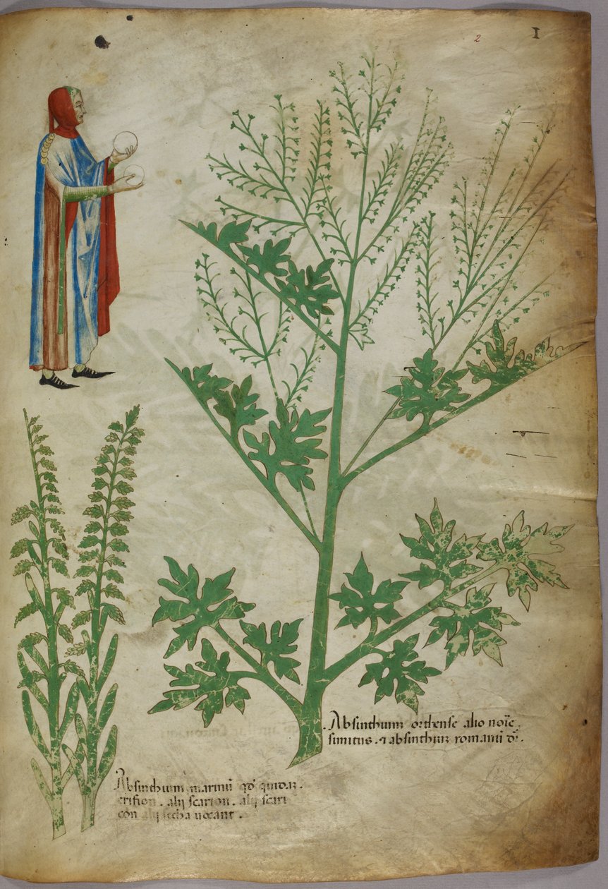 Köpenyt viselő alak, aki mindkét kezében fehér földgömböt tart; növények, 1440 körül (tinta és szín pergamenre) alkotó: Italian School