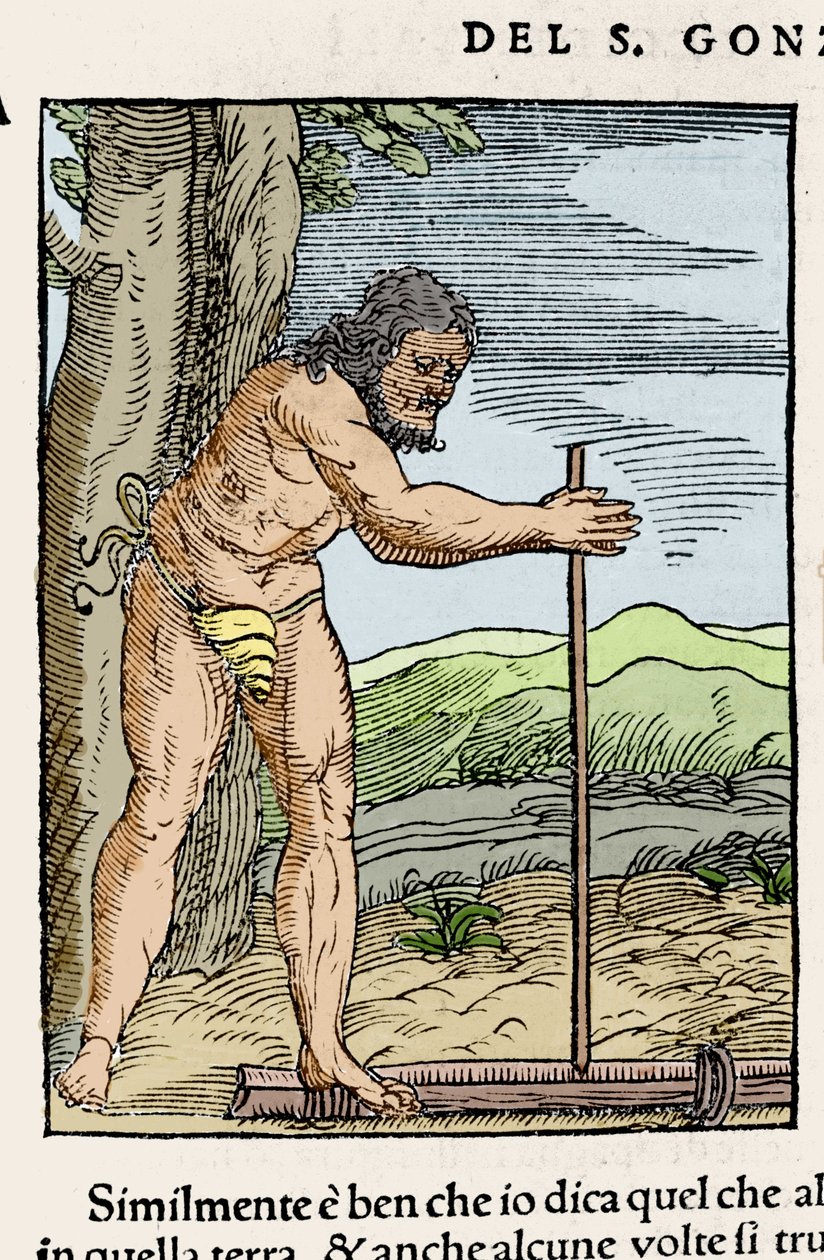 Egy bennszülött férfi, aki tüzet gyújt két fadarab dörzsölésével. Giovanni Battista Ramusio (1485-1557) „” Navigationi és Viaggi” című metszete, vol. III, Velence 1565. alkotó: Italian School