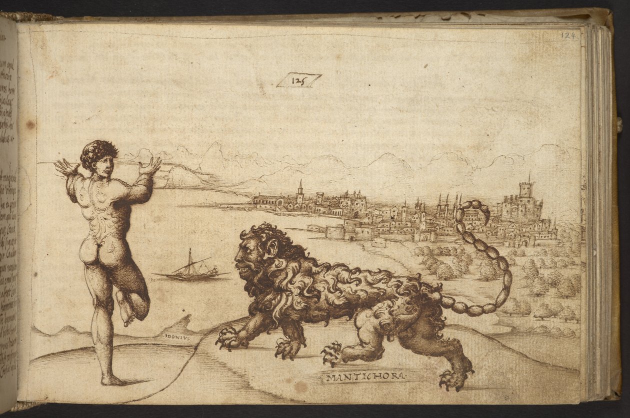 Hozzáadás. 82955, f.124 Emberi alak és lény ("Mantichora").  , a Historia Animaliumtól, (245 különböző állatfajtáról és mitikus lényről készült toll- és tusrajzból áll, mindegyikhez leírás tartozik.)    1595 alkotó: Italian School