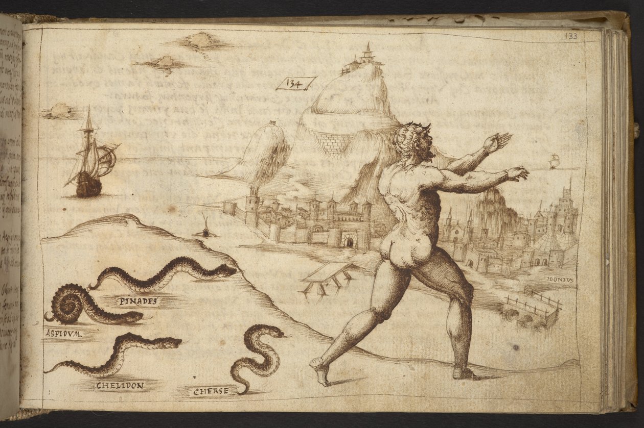 Hozzáadás. 82955, f.133   Emberi alakot kergető kígyók.  , a Historia Animaliumtól, (245 különböző állatfajtáról és mitikus lényről készült toll- és tusrajzból áll, mindegyikhez leírás tartozik.)    1595 alkotó: Italian School