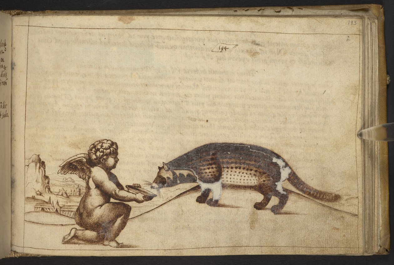 Hozzáadás. 82955, f.193   Kerub és egy lény.  , a Historia Animaliumtól, (245 különböző állatfajtáról és mitikus lényről készült toll- és tusrajzból áll, mindegyikhez leírás tartozik.)    1595 alkotó: Italian School