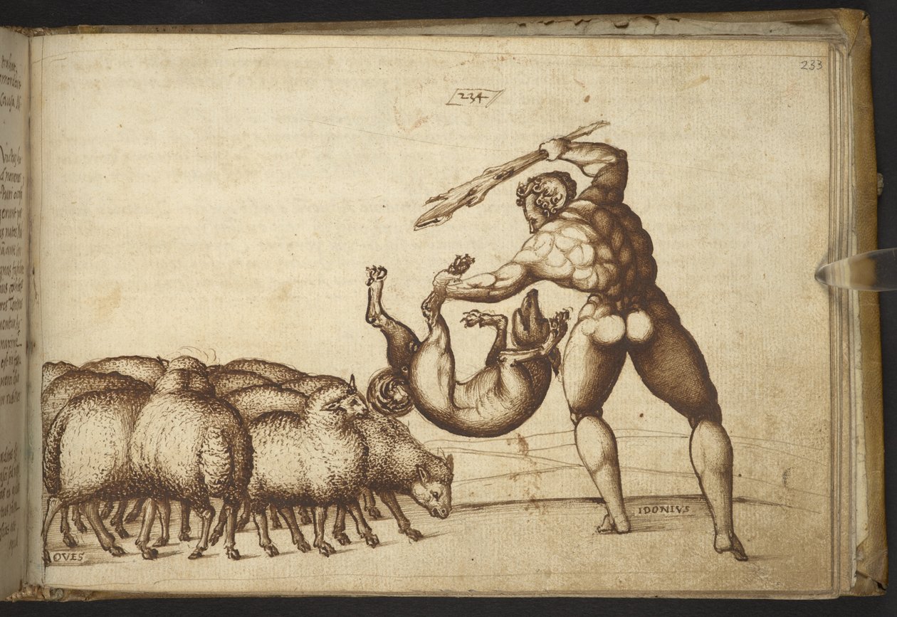 Hozzáadás. 82955, f.233 Juh (