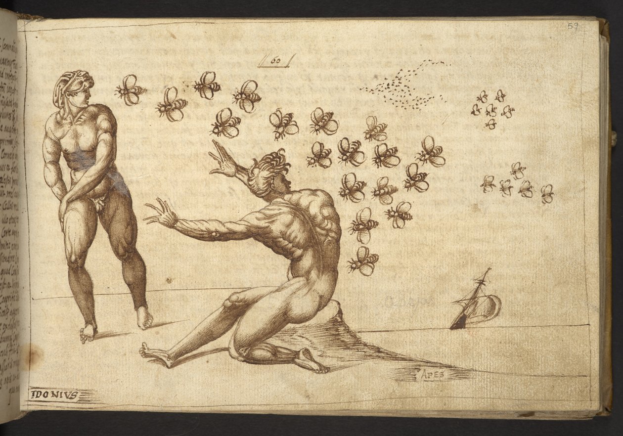 Hozzáadás. 82955, f.59 Méhek (