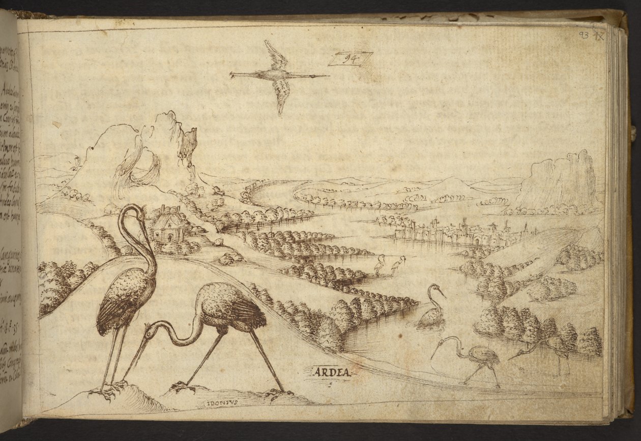 Hozzáadás. 82955, f.93 Gémek (