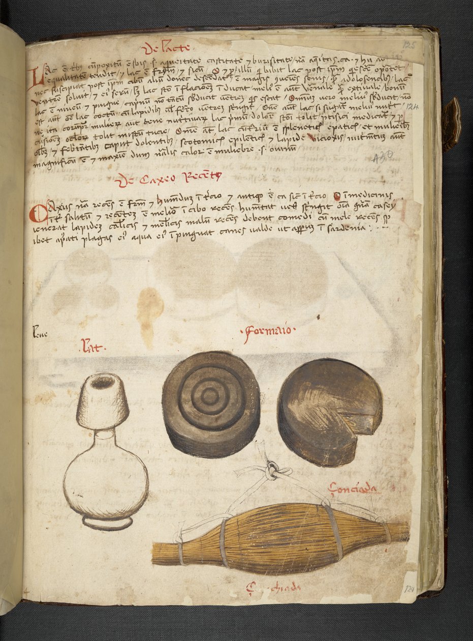 Adja hozzá az MS 41623 f.124r „A gyógynövény”, Belluno (tinta és színes pergamen) alkotó: Italian School