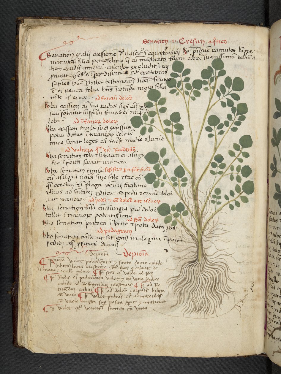 Adja hozzá az MS 41623 f.32v 