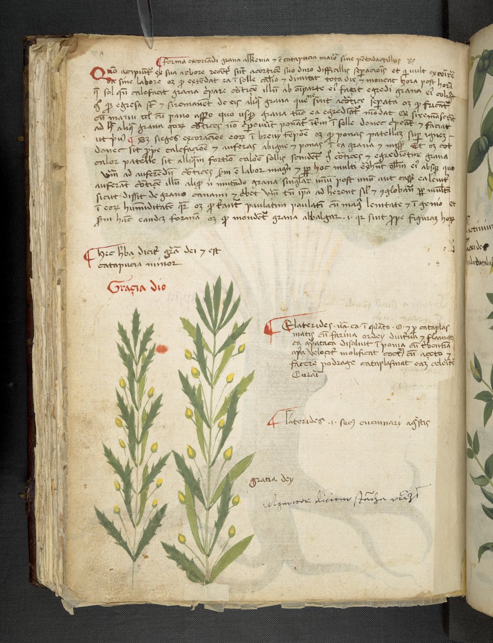Adja hozzá az MS 41623 f.39v 