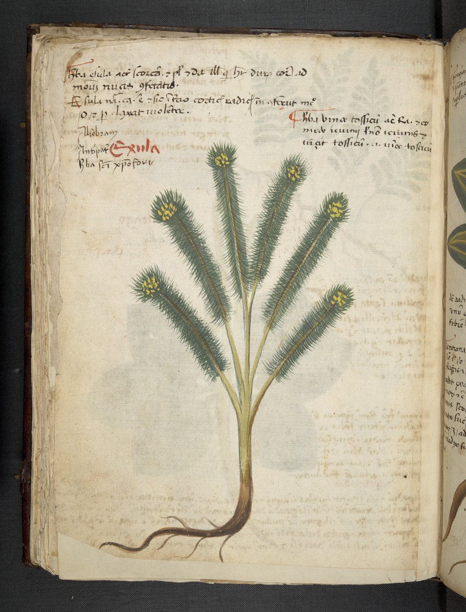 Adja hozzá az MS 41623 f.39v 