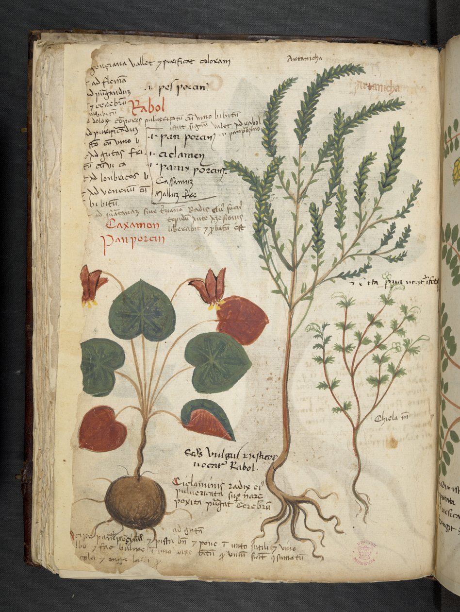 Adja hozzá az MS 41623 f.40v 