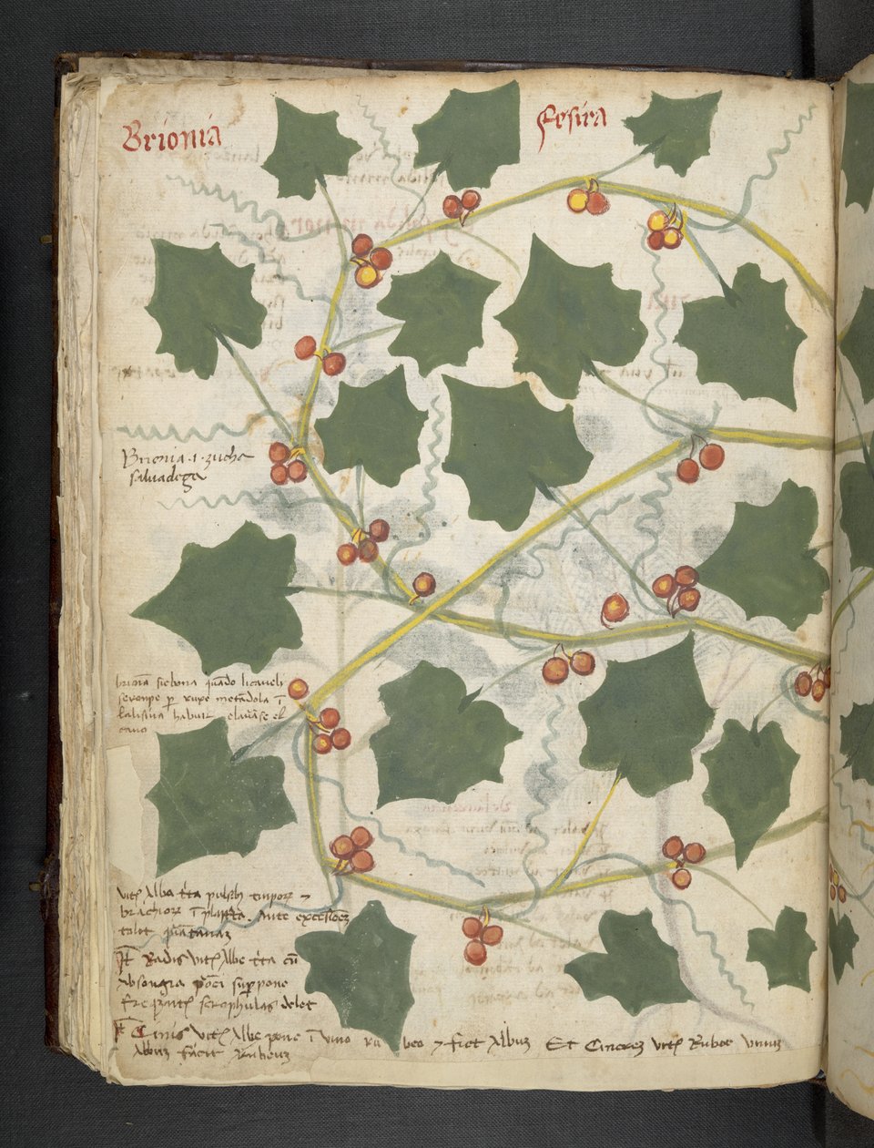 Adja hozzá az MS 41623 f.53v 