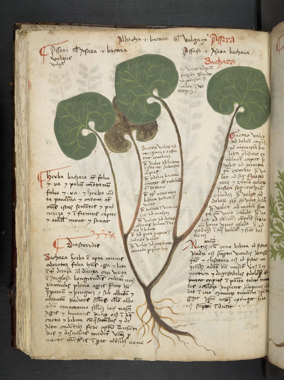 Adja hozzá az MS 41623 f.60v 