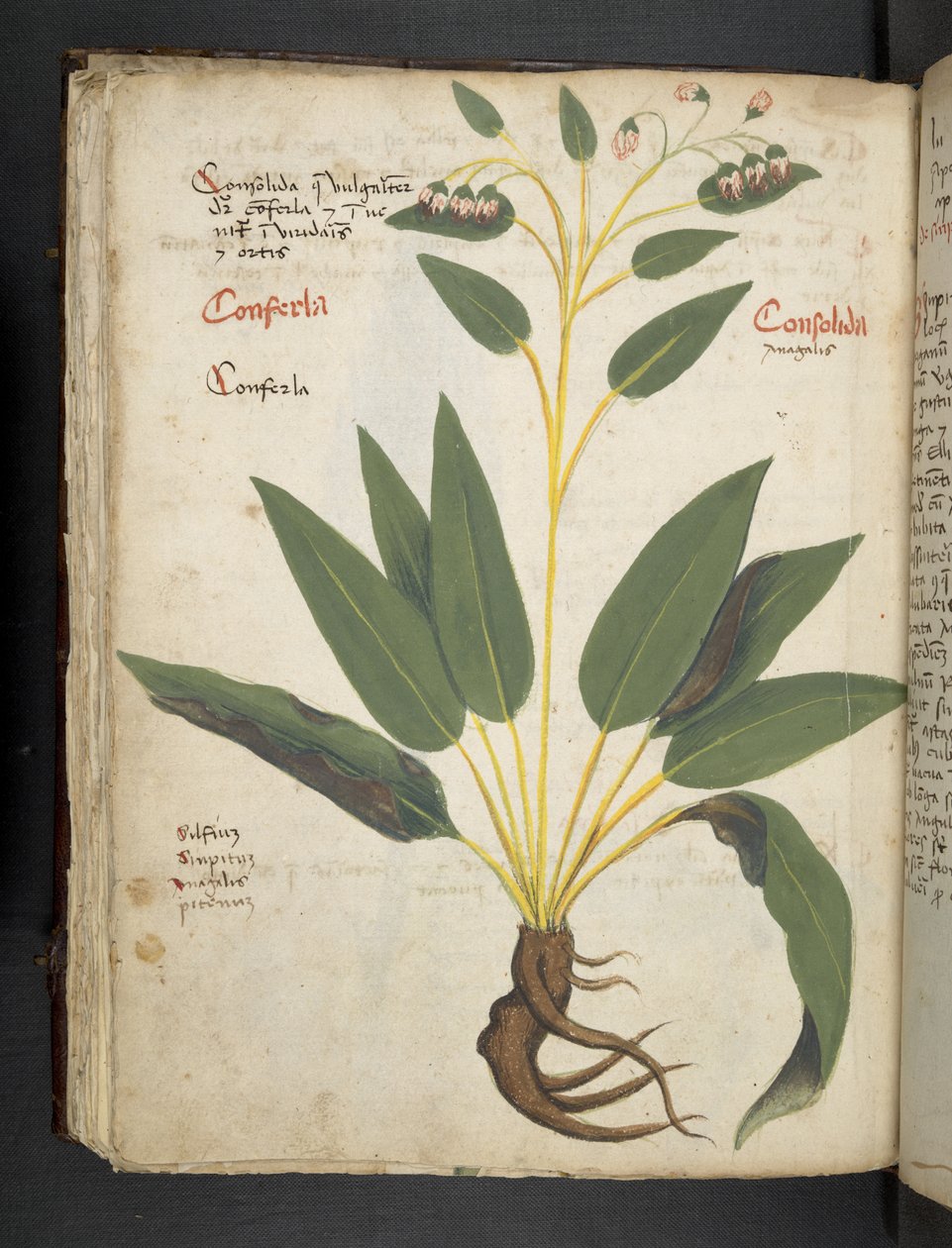 Adja hozzá az MS 41623 f.63v 
