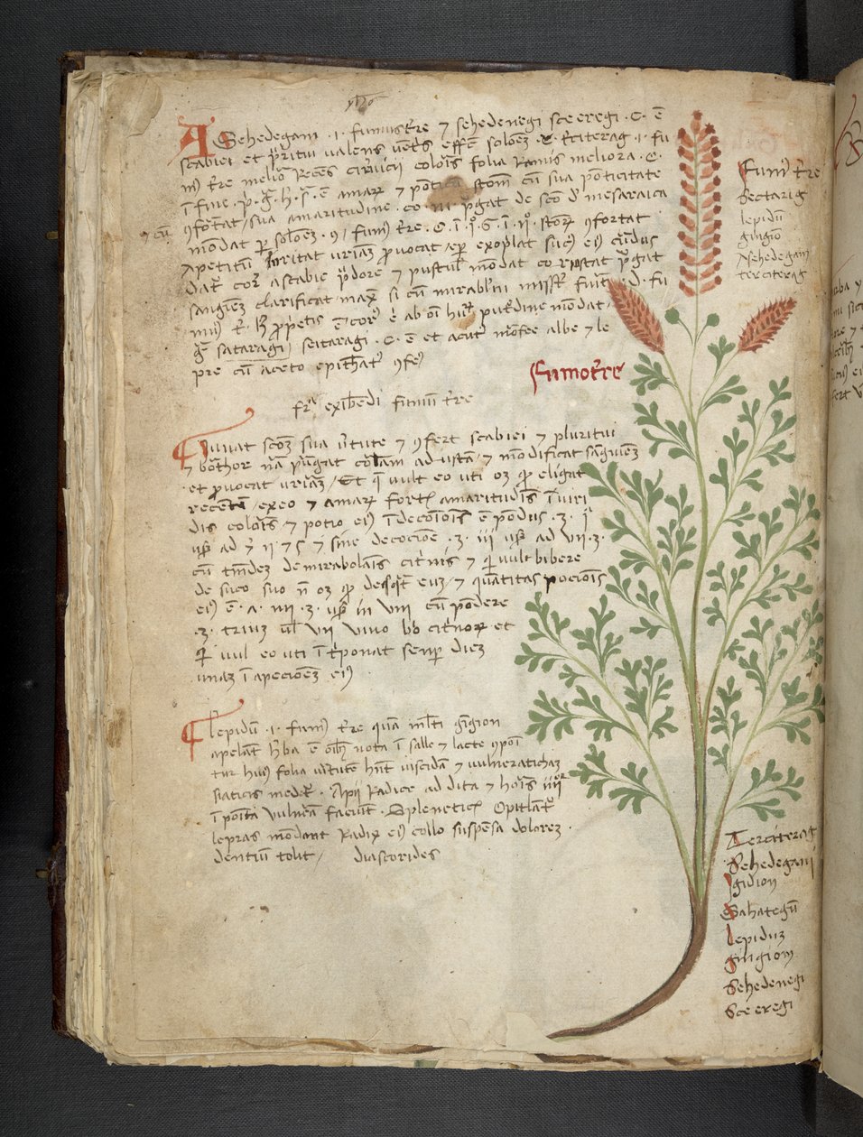 Adja hozzá az MS 41623 f.65v 