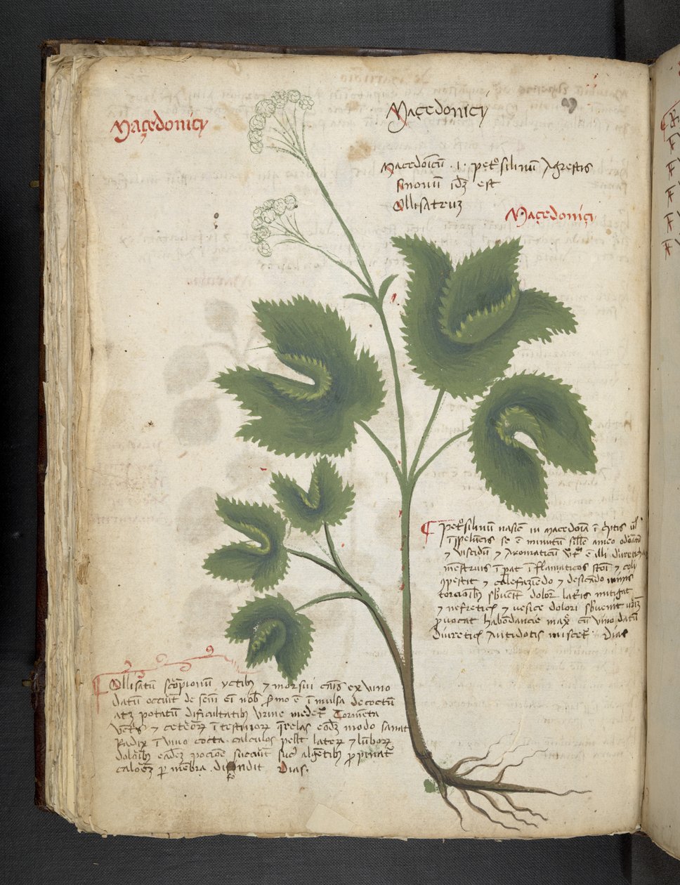 Adja hozzá az MS 41623 f.67v 