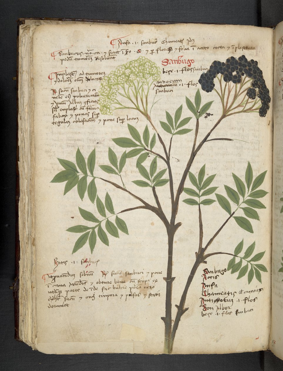Adja hozzá az MS 41623 f.72v 