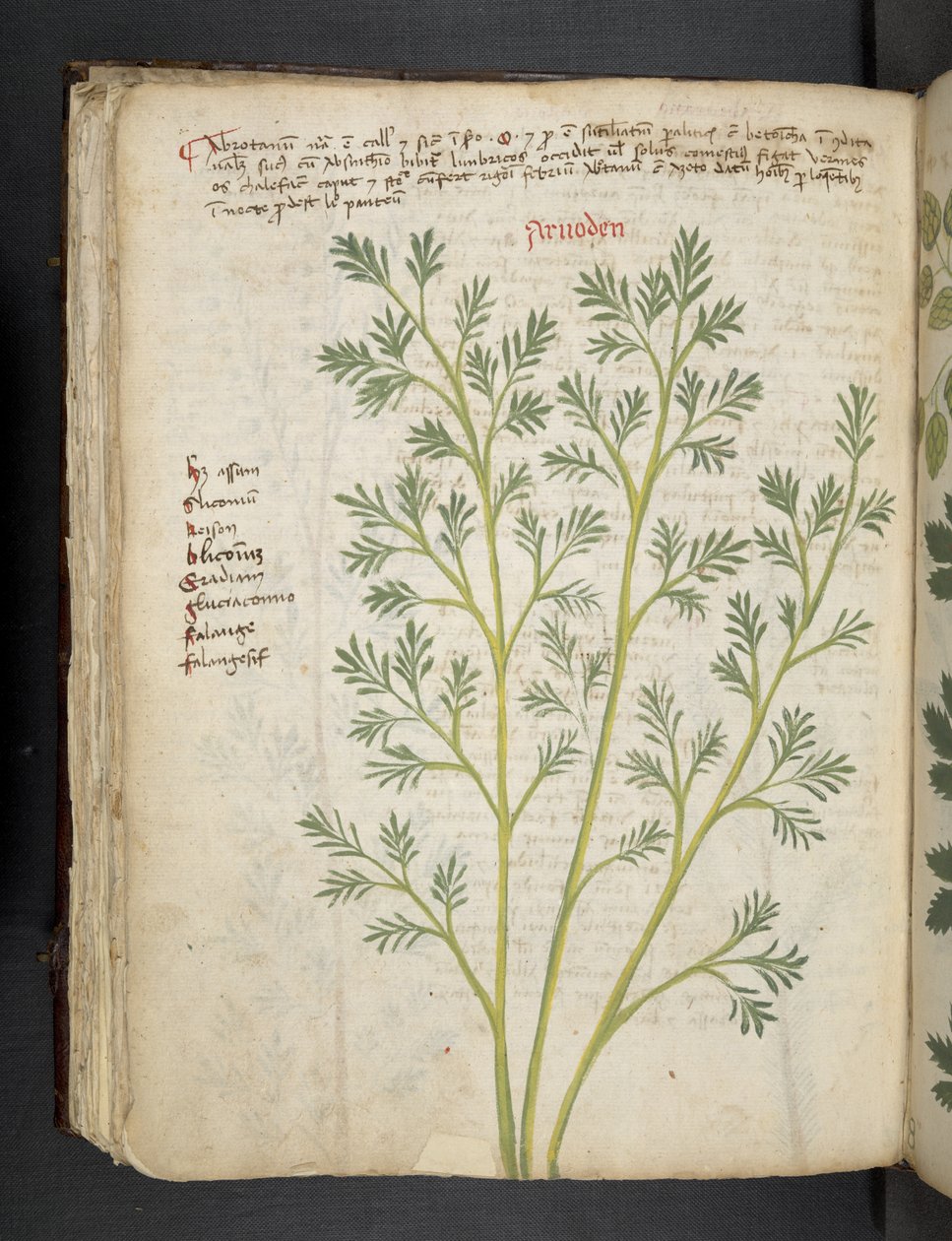Adja hozzá az MS 41623 f.74v 