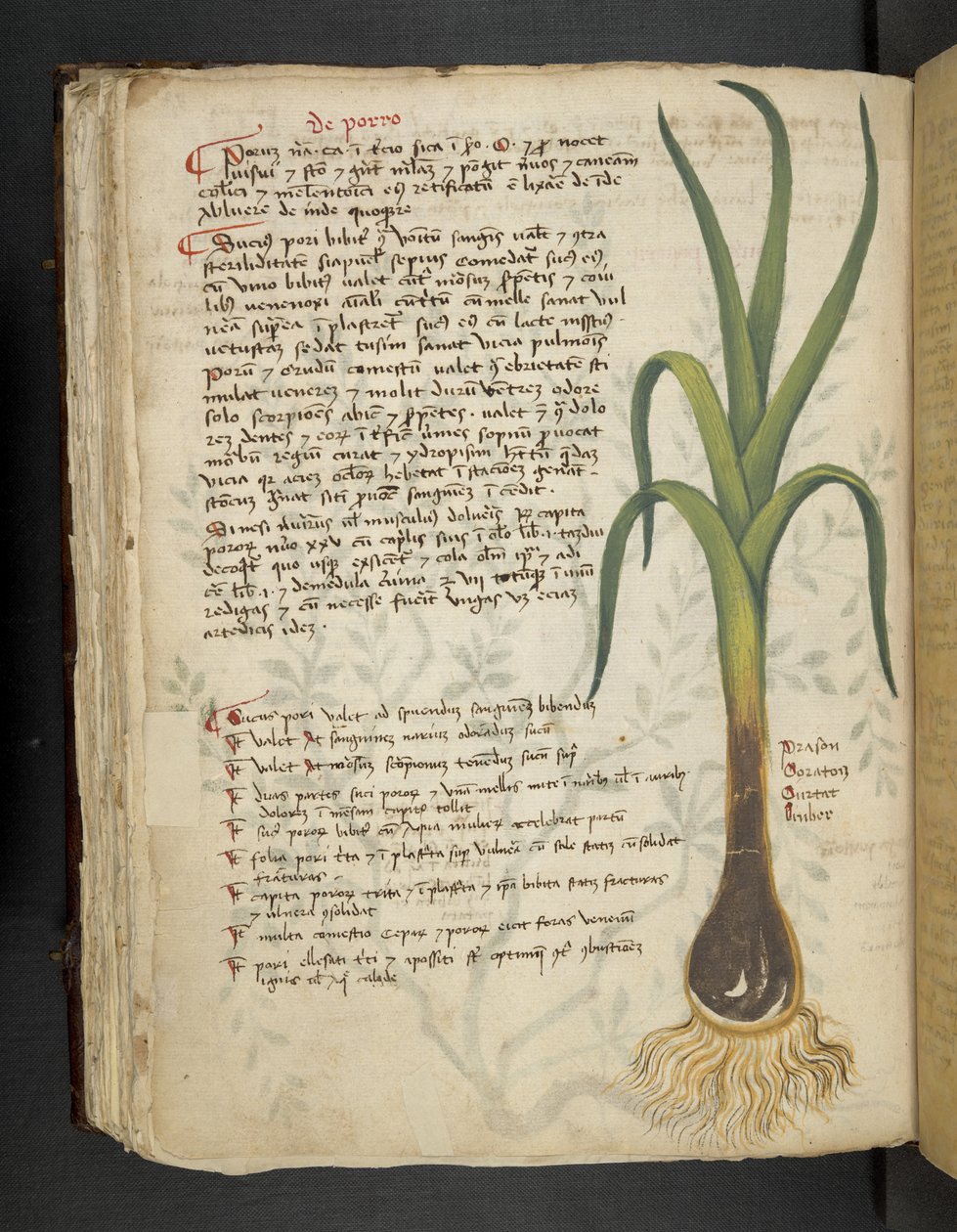 Adja hozzá az MS 41623 f.87v De Porro 
