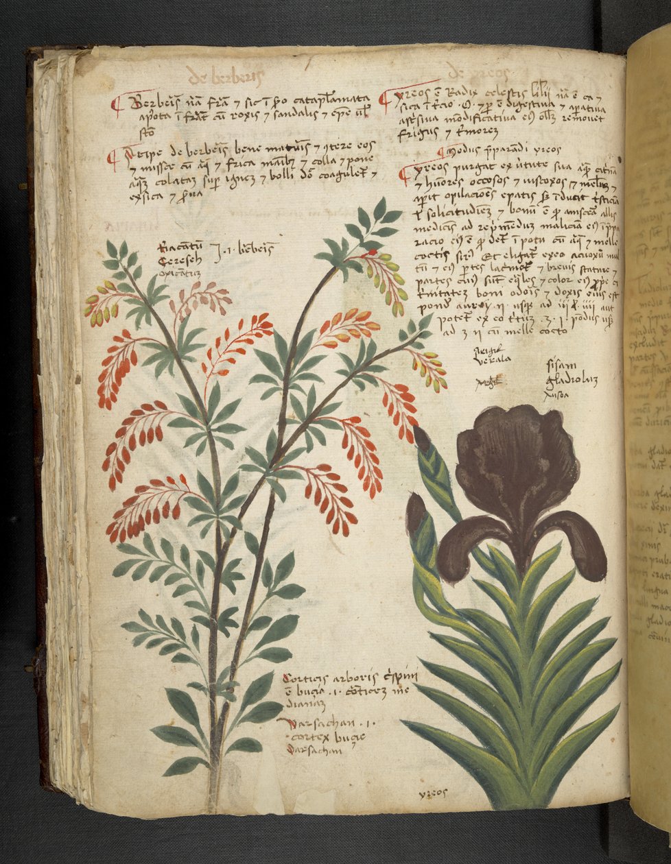 Adja hozzá az MS 41623 f.89v 