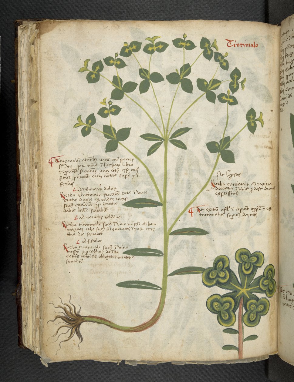 Adja hozzá az MS 41623 f.94v 