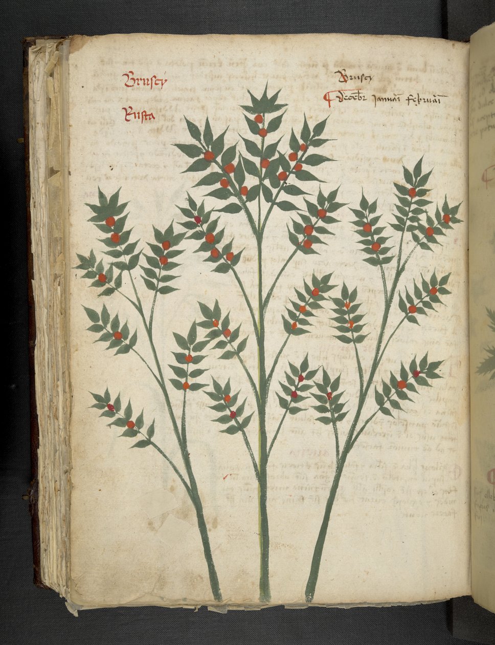 Adja hozzá az MS 41623 f.99v 