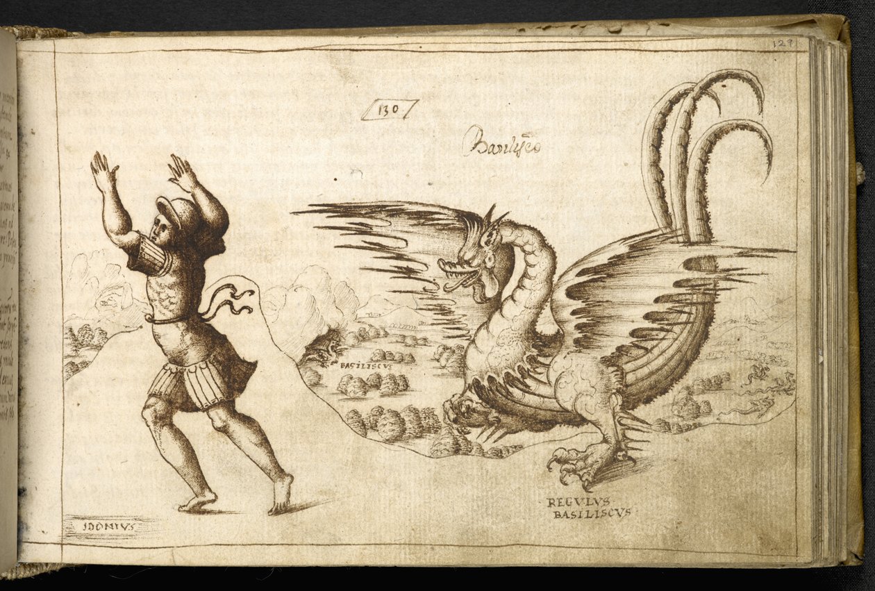 Adja hozzá az MS 82955 f.129r Dragont a „Historia Animalium”-ból alkotó: Italian School