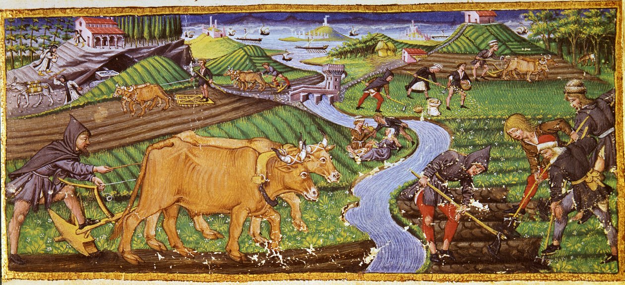 Mezőgazdaság a 15. század elején. Biblioteca Riccardiana, Firenze. alkotó: Italian School