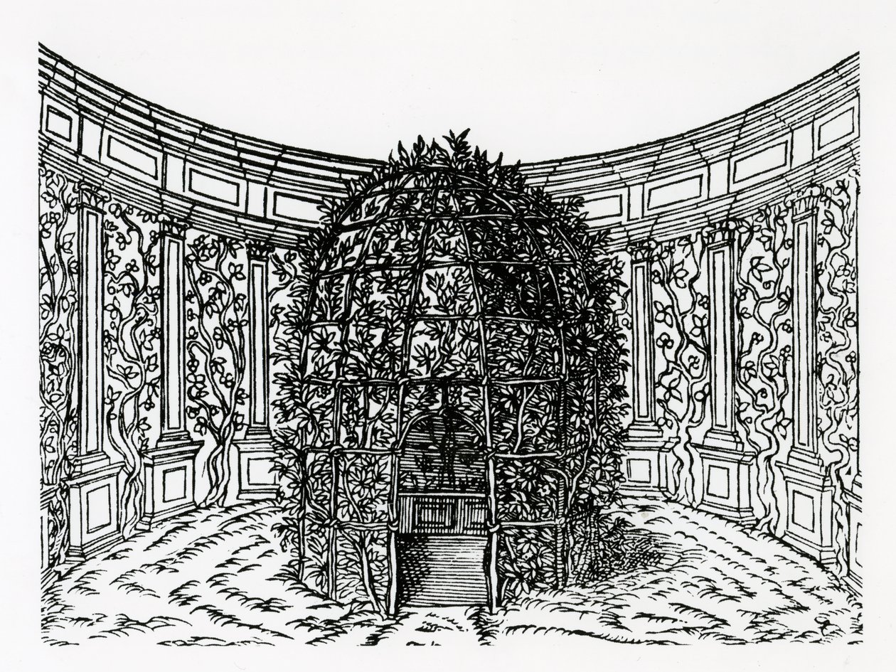 Egy lugas, a Hypnerotomachia Poliphili című, Francesco Colonnának (1432-1527 körül) tulajdonított, 1499-ben kiadott műből. alkotó: Italian School