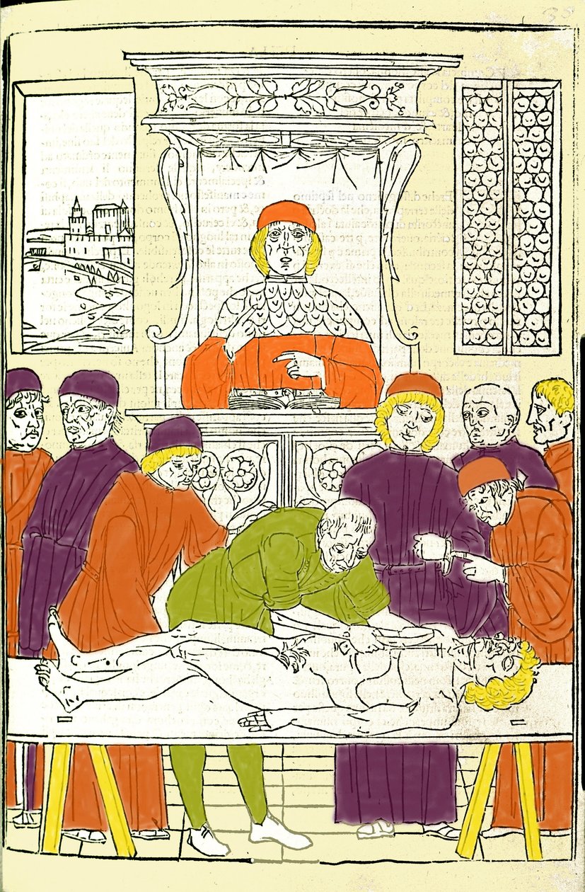 Anatómiai boncolás. Gerolamo Cardano (Cardano) (Cardanus Hieronymus), Firenzei, vésése az orvosi kezelésből alkotó: Italian School