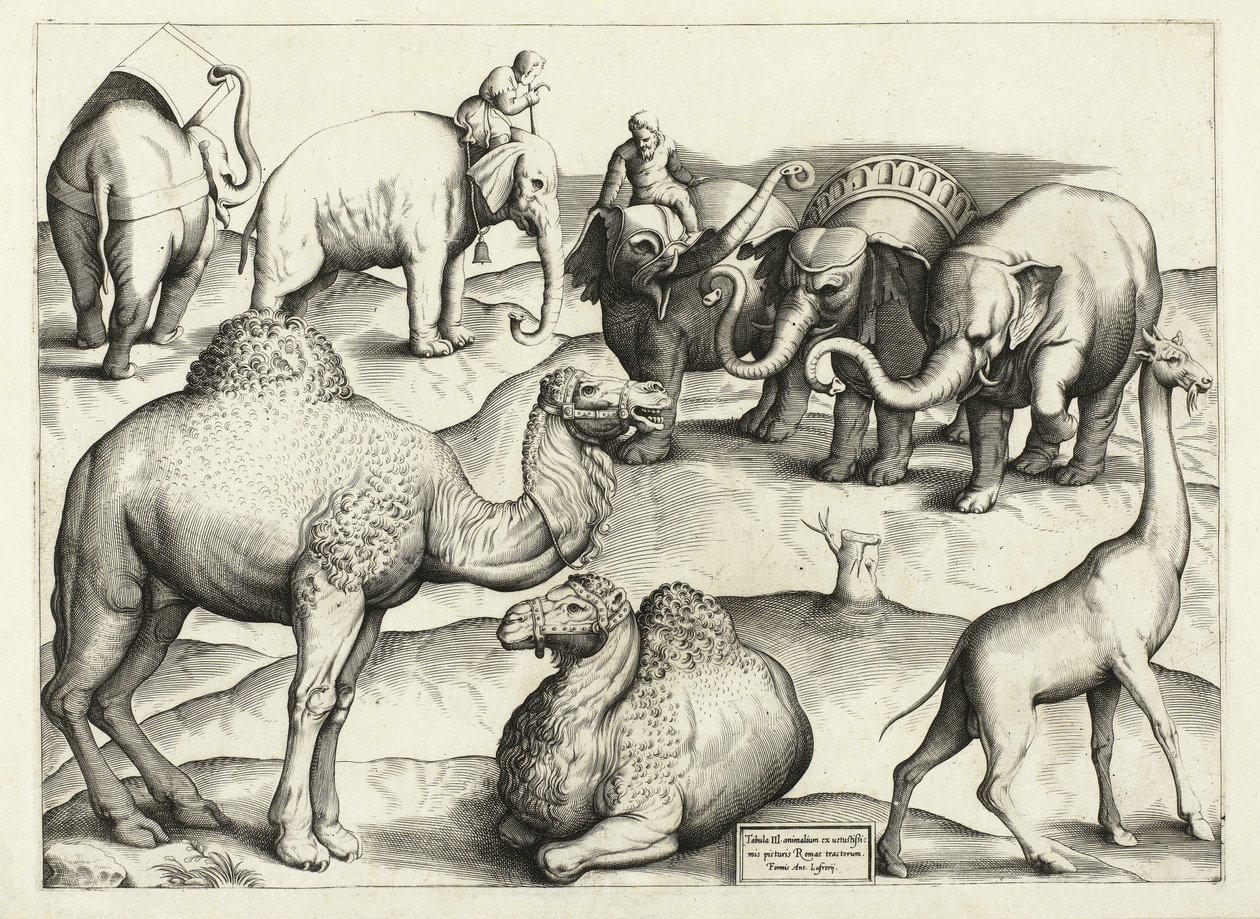 Állatfestmények az ókori Rómából, táblázat, 3., kocsma. Antonio Lafrere 1528 alkotó: Italian School