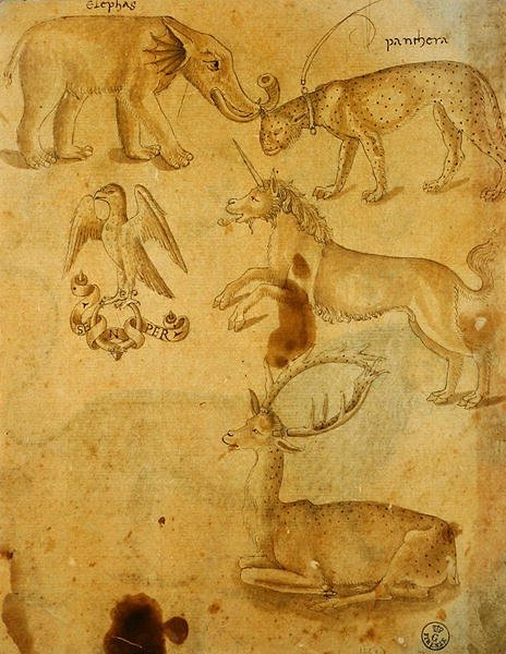 Állatok (toll, tinta és mosás papíron) alkotó: Italian School