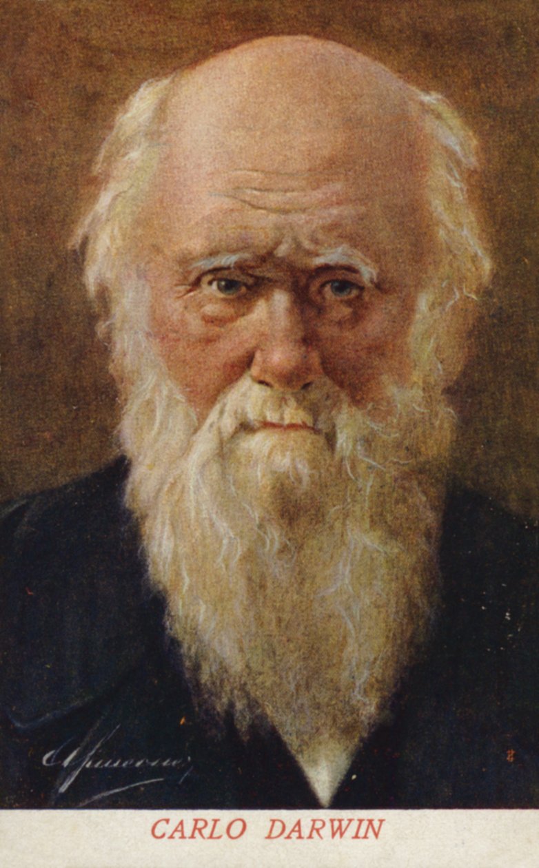 Charles Darwin (1809-1882), angol természettudós (színes litográfia) alkotó: Italian School