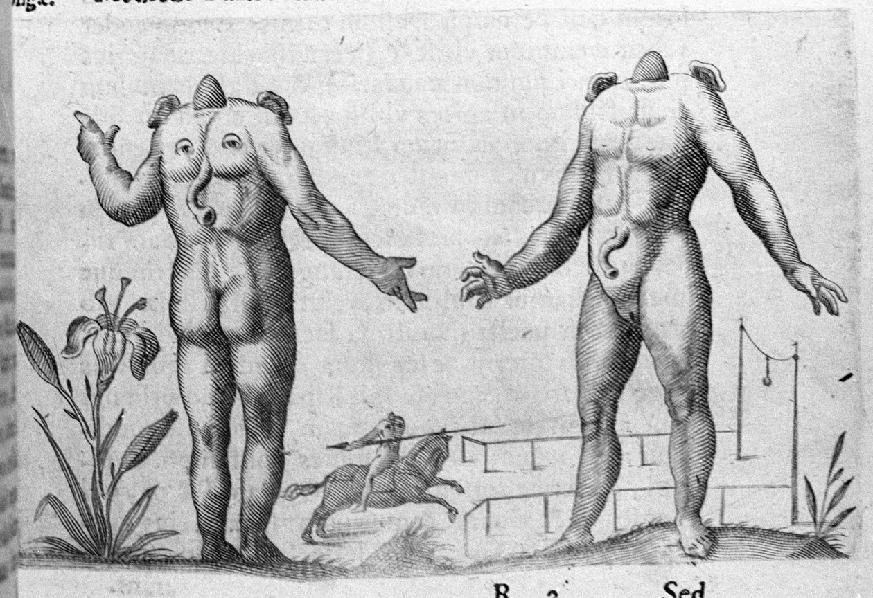 Különböző típusú emberi szörnyek: egy ember fej nélkül. Metszet Fortunio Norsi (1577-1656) olasz tudós "A szörnyek természete, okaik és különbségeik" című könyvéből. 1646 alkotó: Italian School