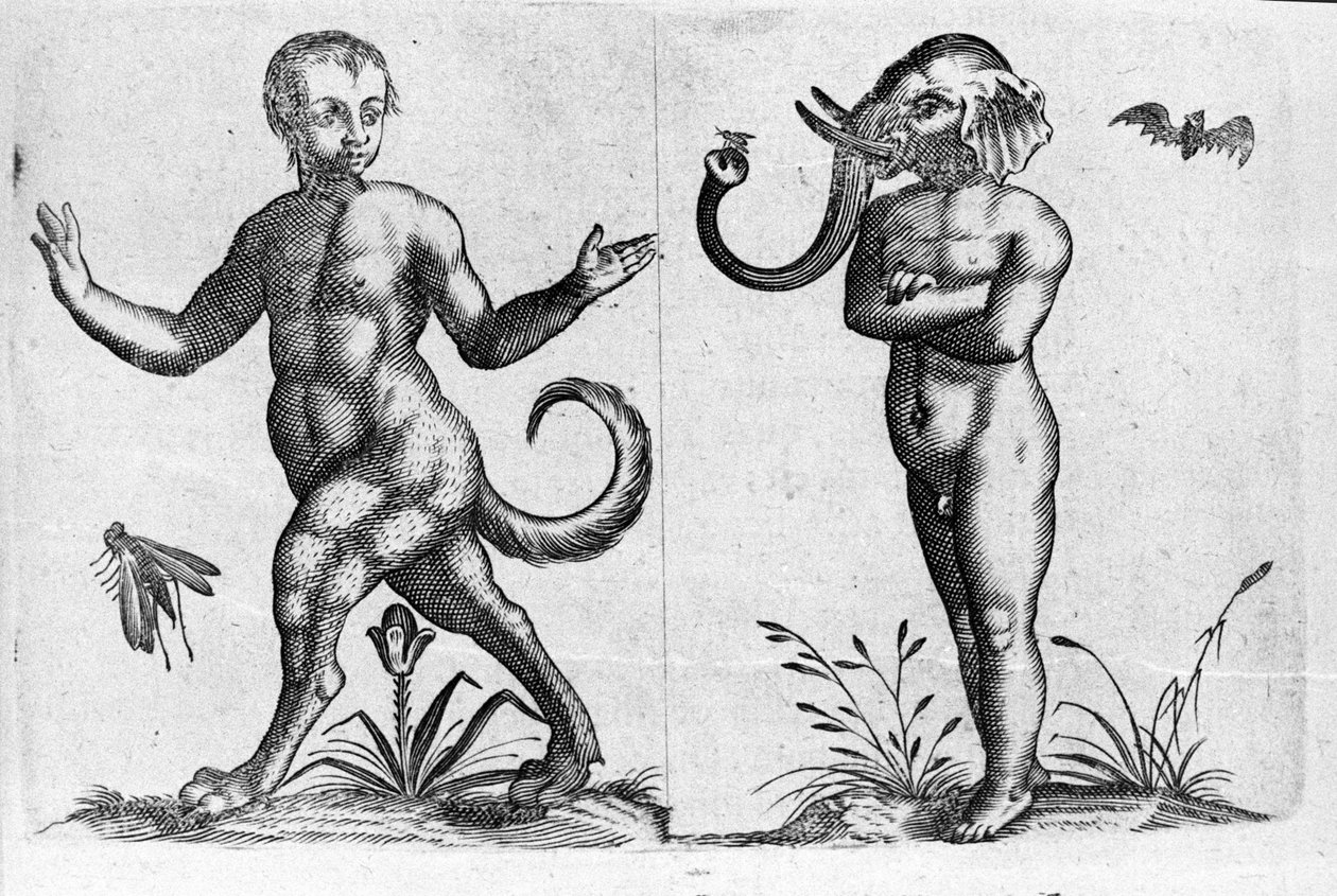 Különböző típusú emberi szörnyek: az egyik ember állatlábas, a másik elefántfejű. Fortunio Liceti (1577-1656) olasz tudós „De monstrorum natura, causis et differentiis” metszete. 1646 alkotó: Italian School