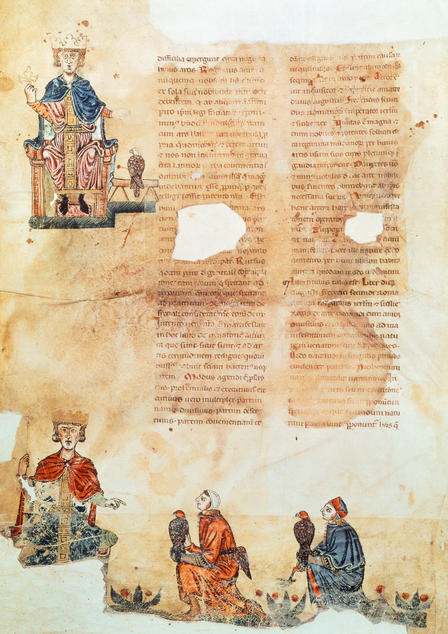 II. Frigyes Hohenstaufend császár, illusztráció a „A madarakkal való vadászat művészete” c. alkotó: Italian School