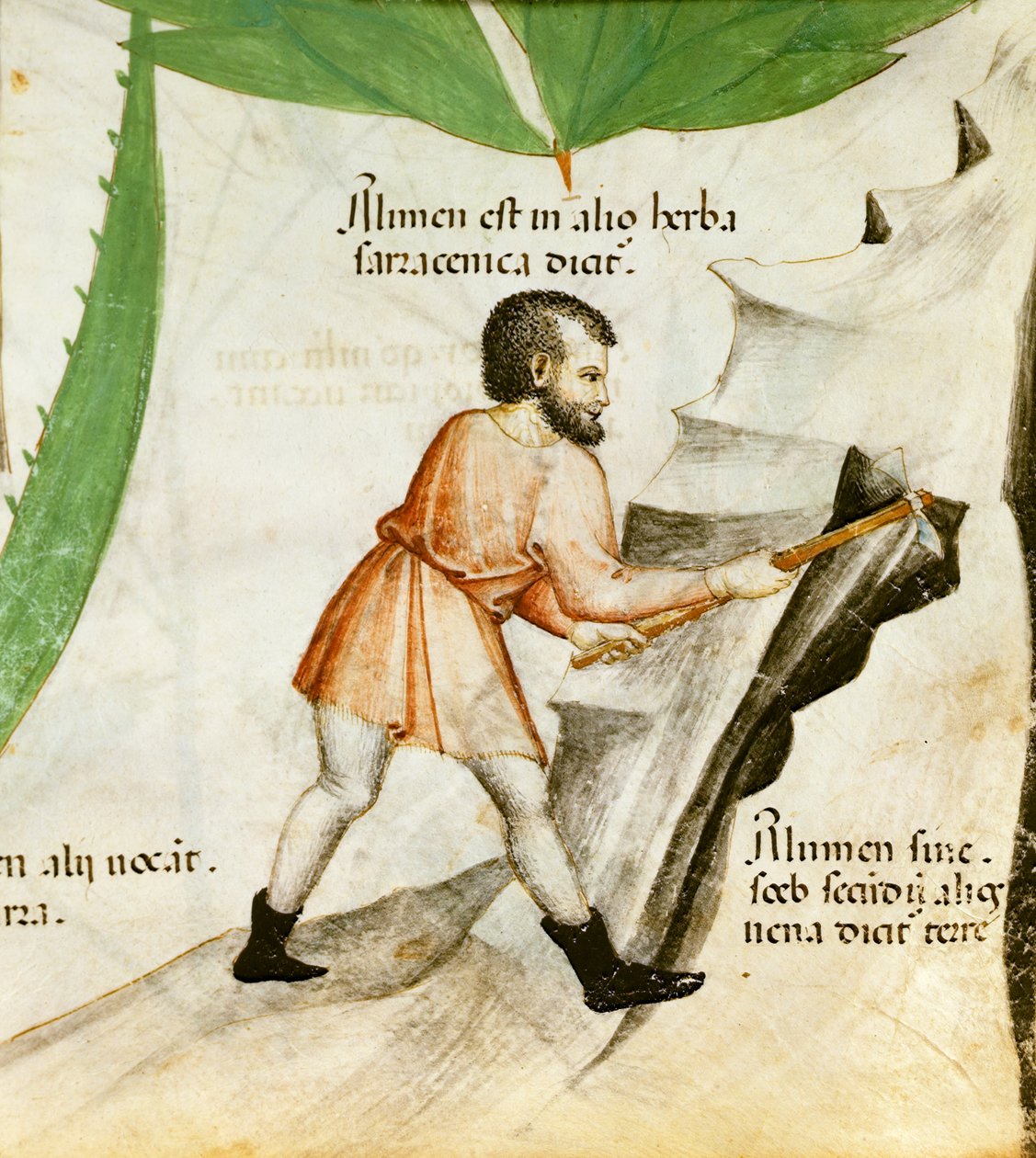Timsó kitermelése, 1440 körül (színes litó) alkotó: Italian School