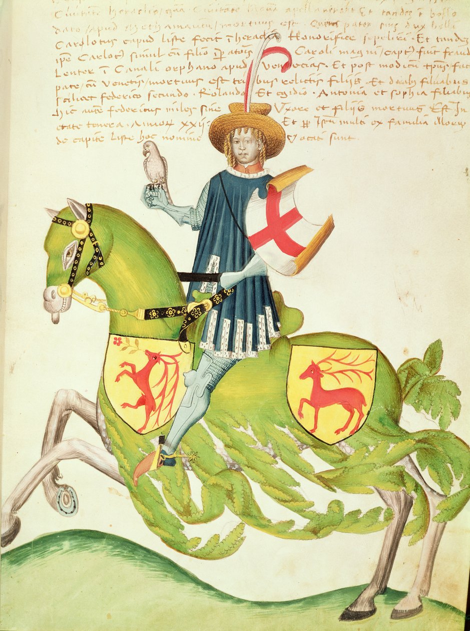 Falconer, a Codex Capodilistából (vellum) alkotó: Italian School