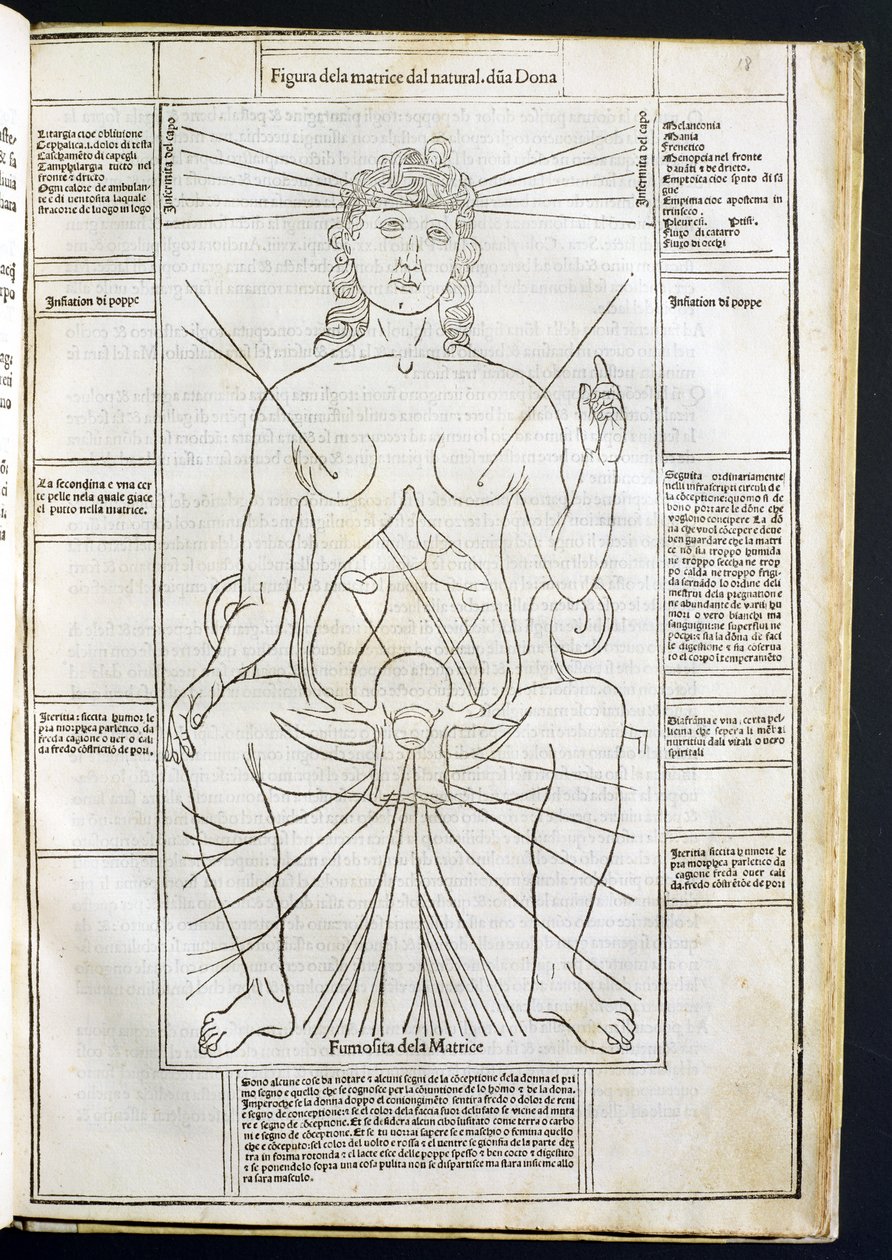 Női anatómia a Fasciculus Medicinae-ből, Johannes de Ketham (u. e. 1490) 1507 körül alkotó: Italian School