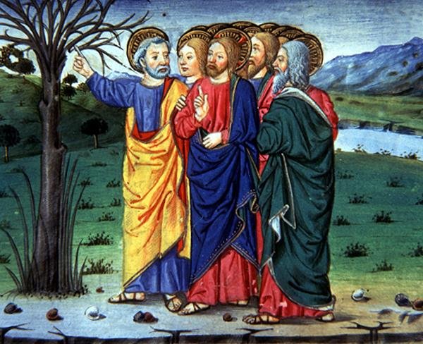 Fol.63r Péter rámutat Krisztusnak egy kiszáradt fára (vellum) alkotó: Italian School