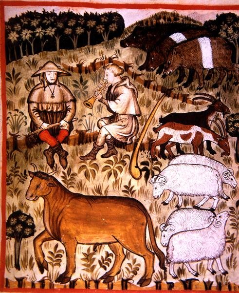 Fol.71r Kasztrált állatok, illusztráció a "Tacuinum Santiatis Codex Vindobonensis" (pergamen) című kötetből. alkotó: Italian School