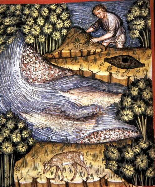Fol.84v Borostyán, illusztráció a „Tacuinum Santiatis Codex Vindobonensis”-ből (vellum) alkotó: Italian School