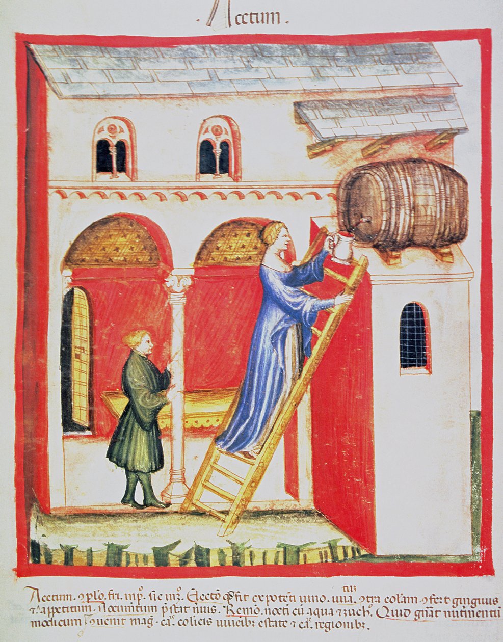 Fol.85v Ecet, illusztráció a Tacuinum Santiatis Codex Vindobonensisből alkotó: Italian School