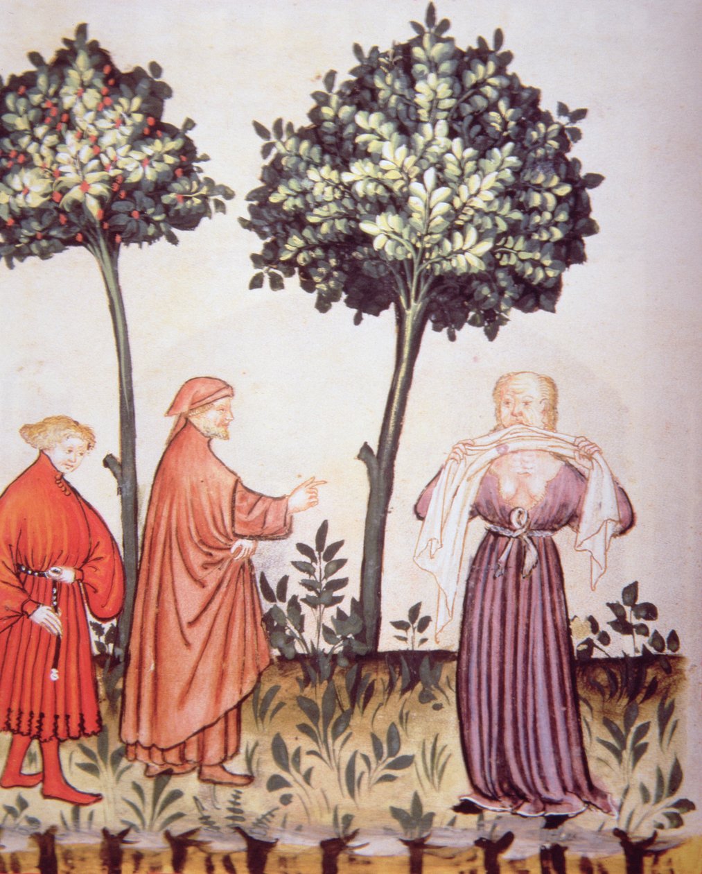 Fol.98v Kolera, illusztráció a Tacuinum Santiatis Codex Vindobonensisből alkotó: Italian School